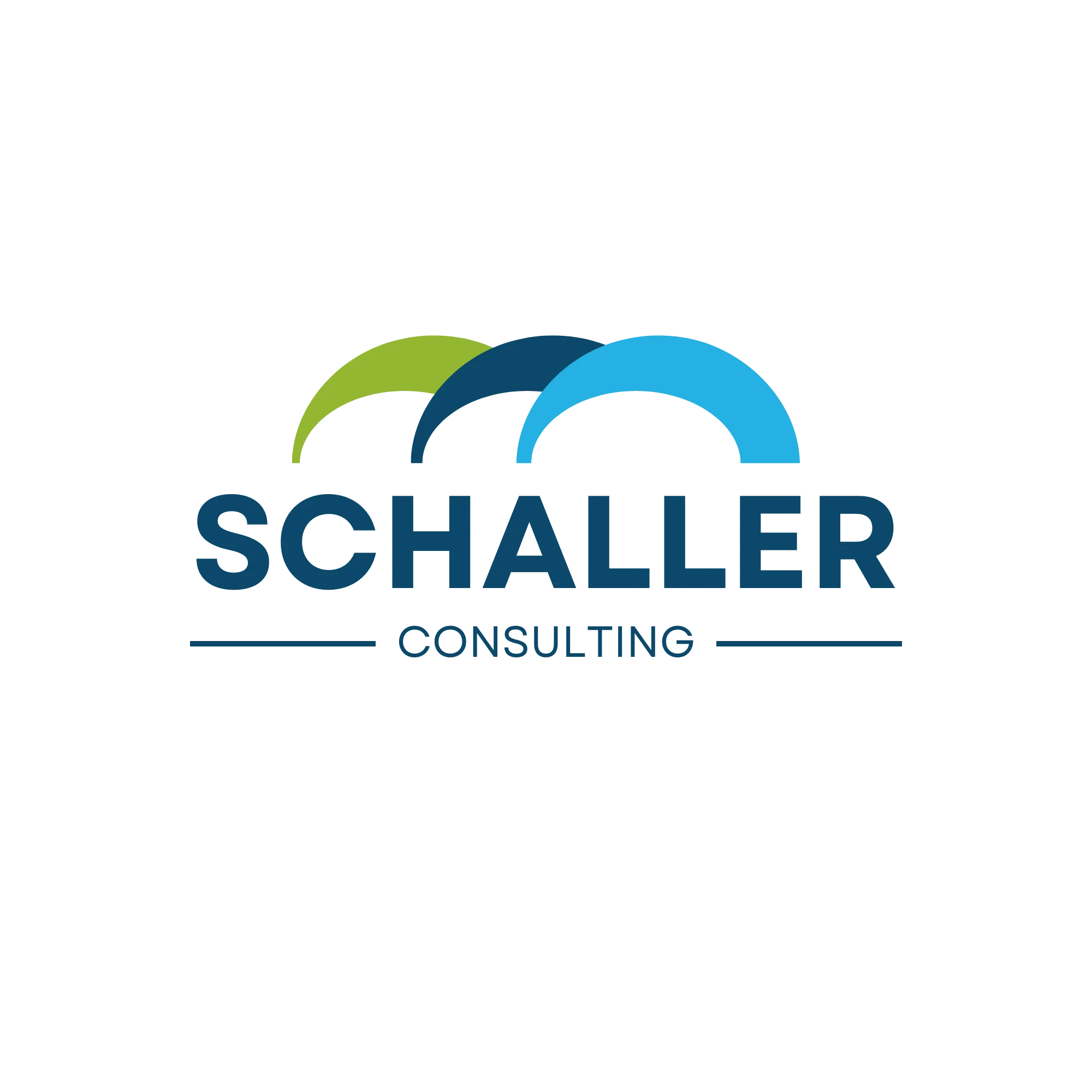 Schaller Consulting
